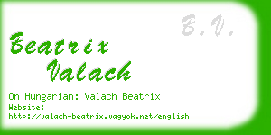 beatrix valach business card